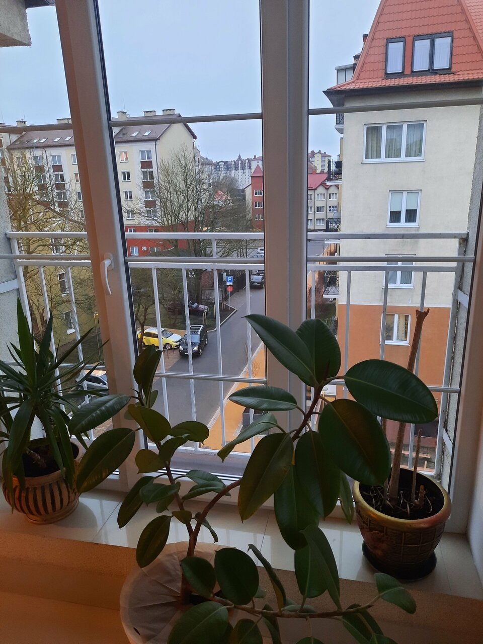 Гостиница Элиза ИНН Зеленоградск-25