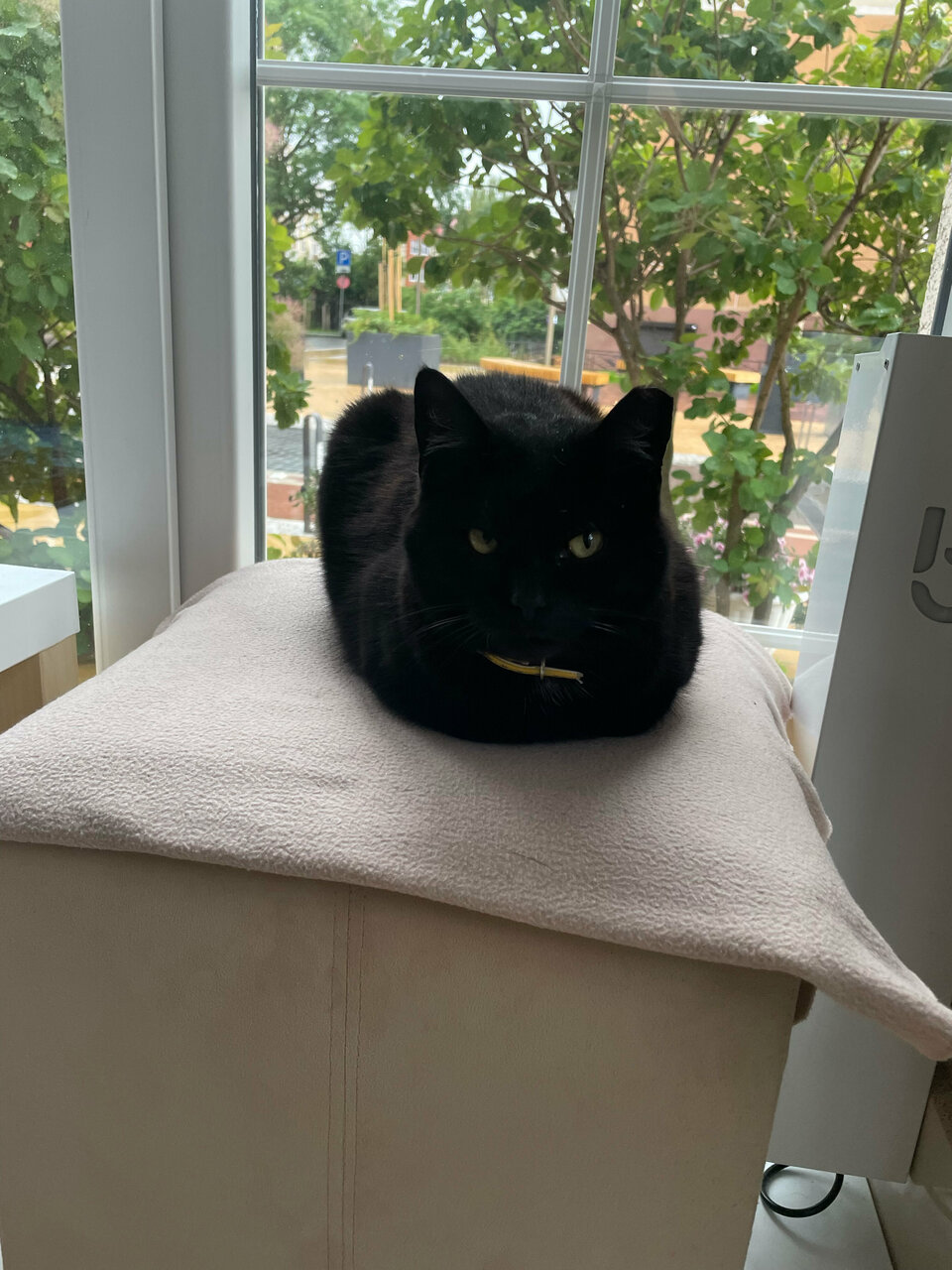 Гостиница Элиза ИНН Зеленоградск-149