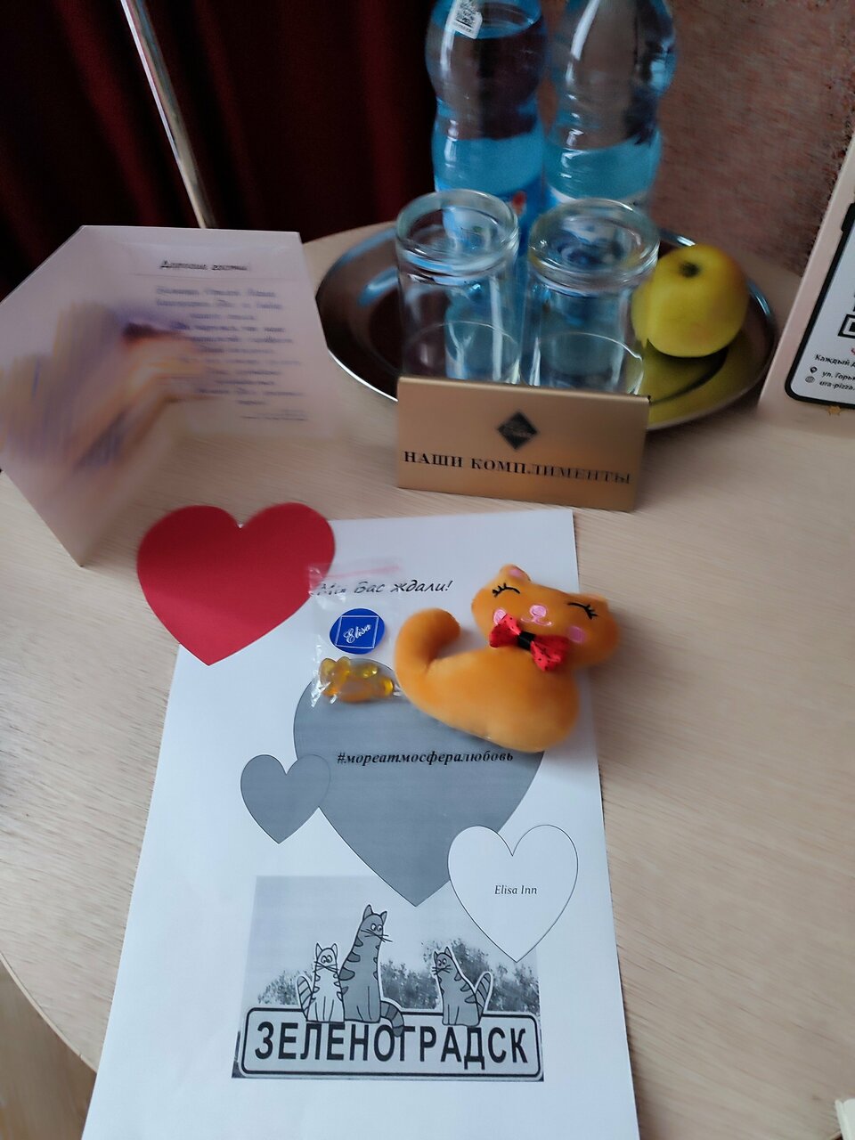 Гостиница Элиза ИНН Зеленоградск-227