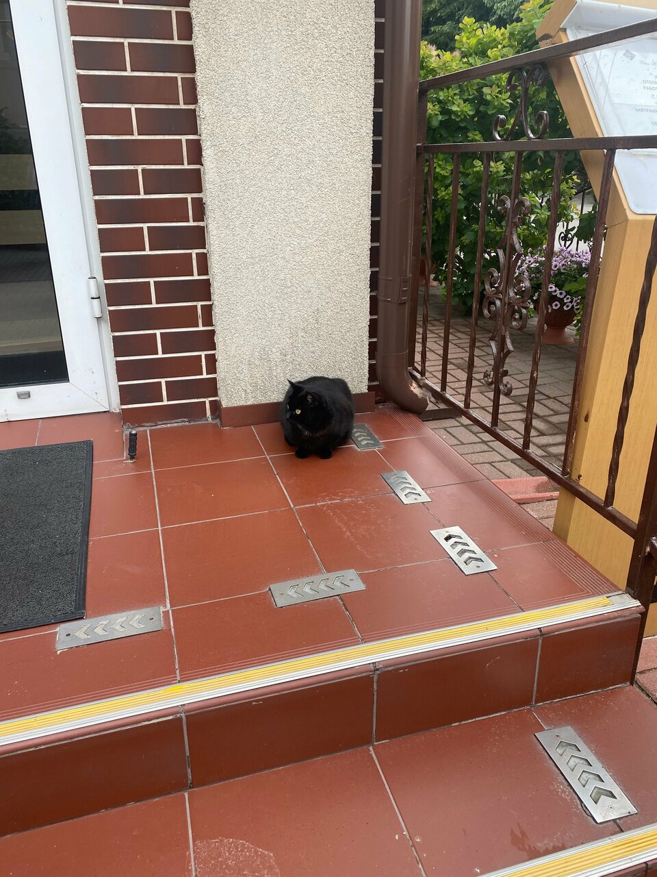 Гостиница Элиза ИНН Зеленоградск-74