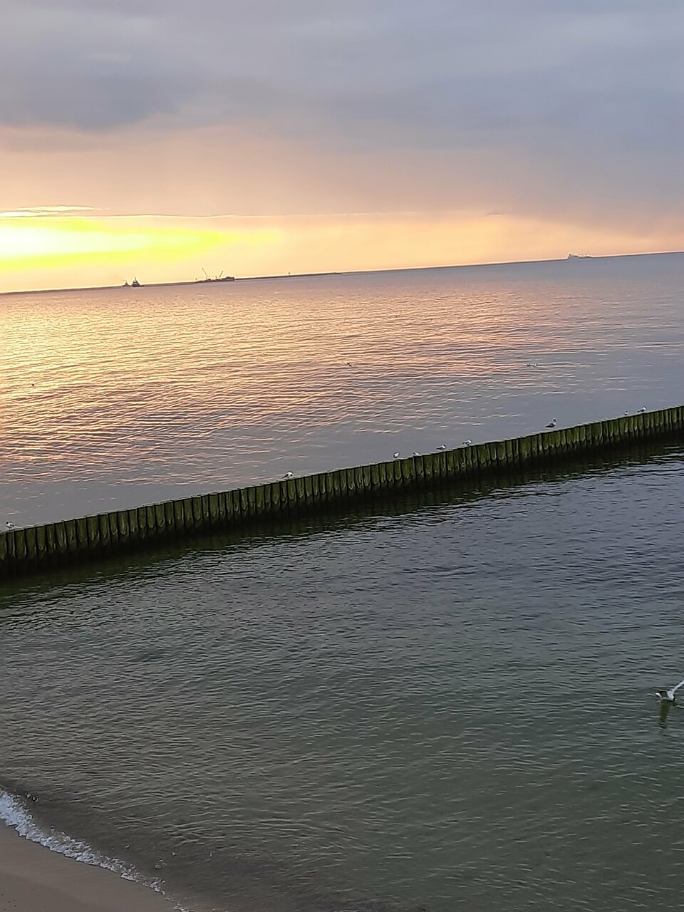 Гостиница Элиза ИНН Зеленоградск-58