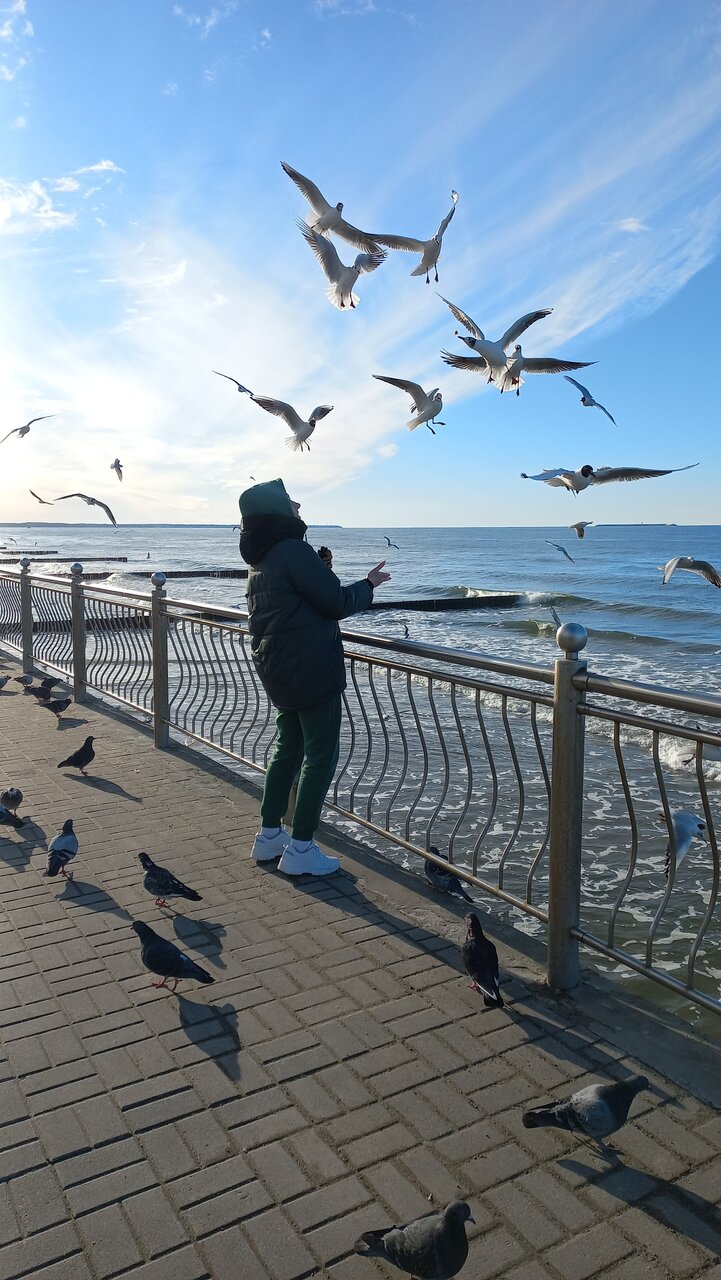 Гостиница Элиза ИНН Зеленоградск-19