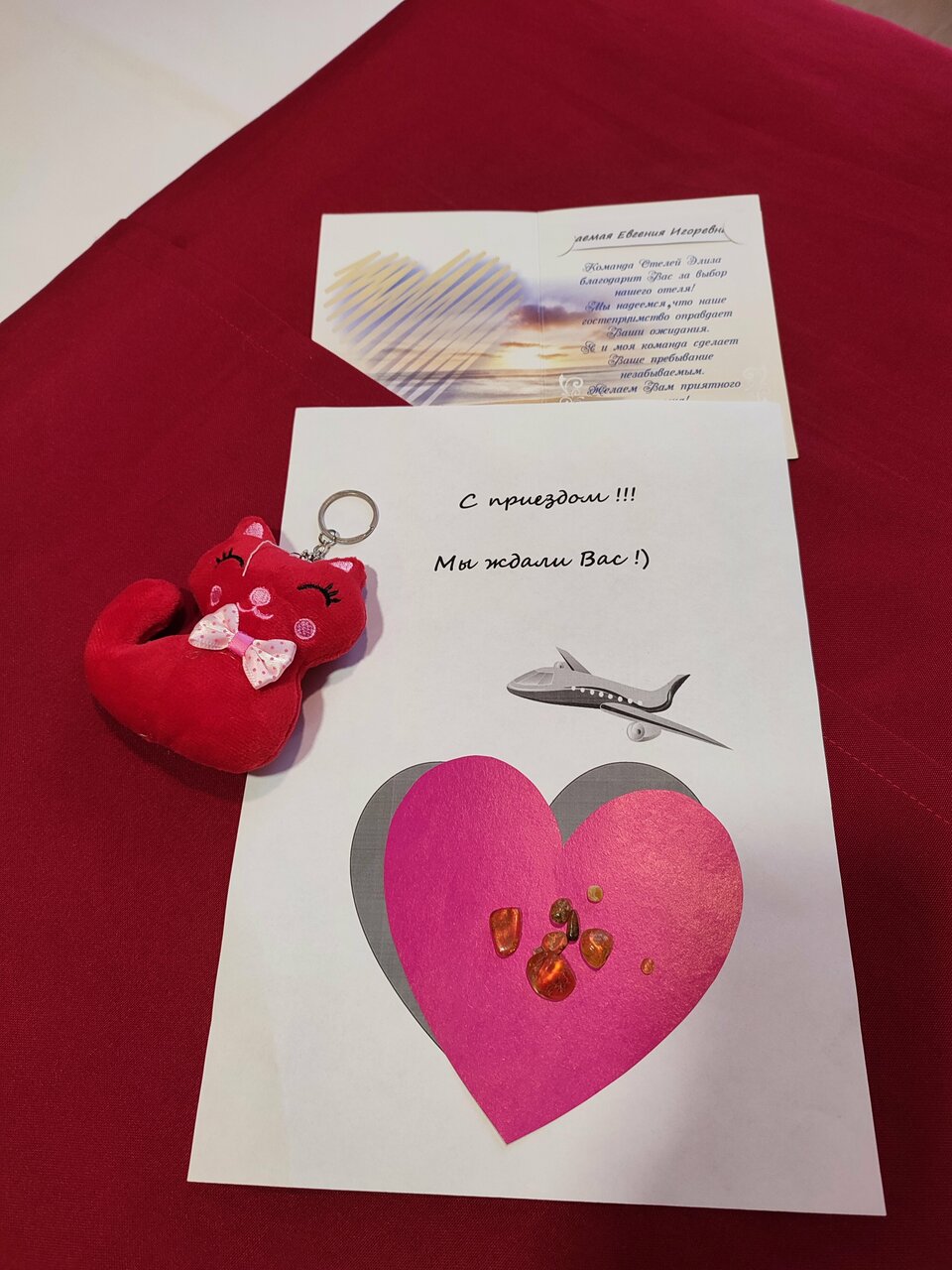 Гостиница Элиза ИНН Зеленоградск-226