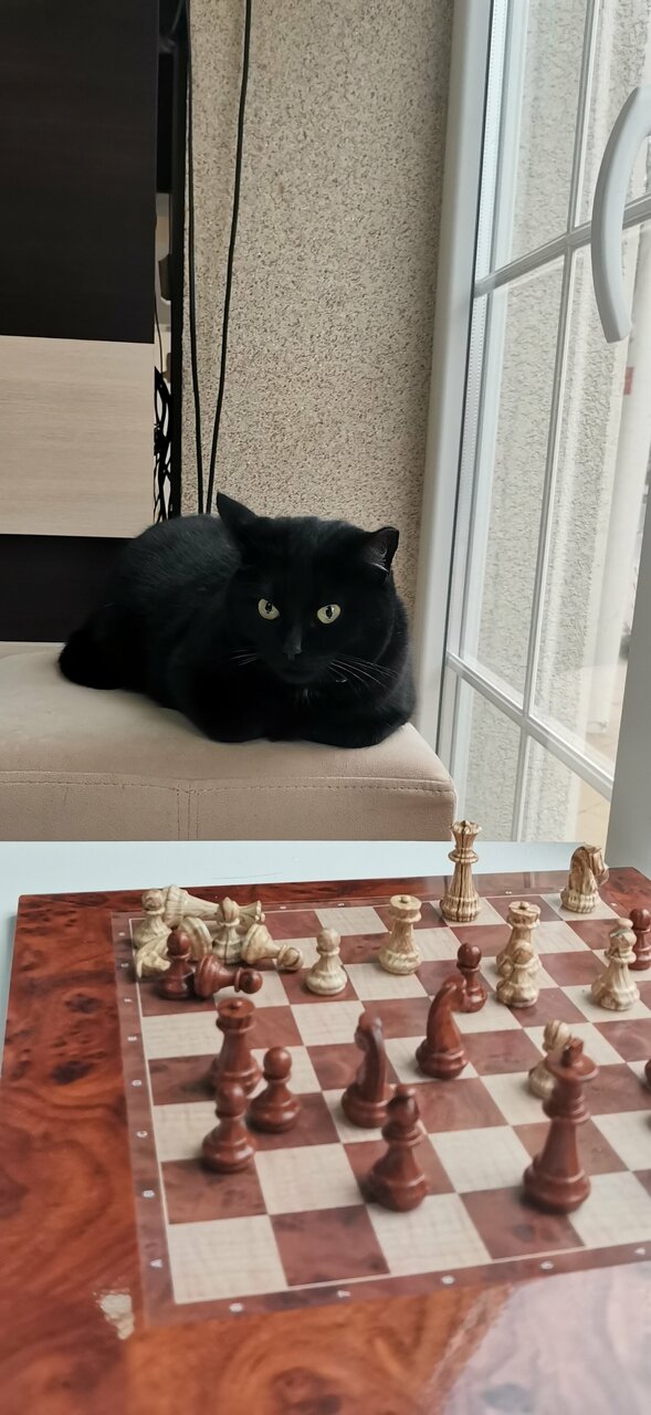 Гостиница Элиза ИНН Зеленоградск-120