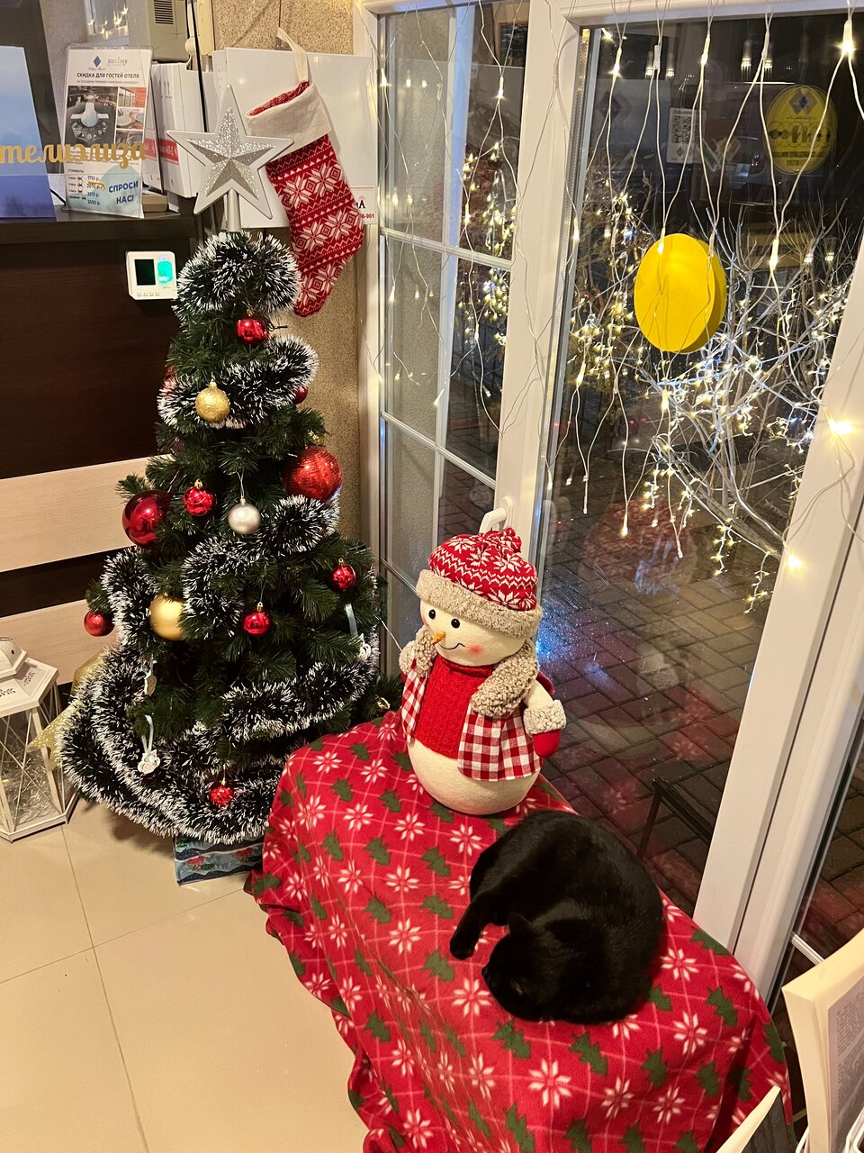 Гостиница Элиза ИНН Зеленоградск-172