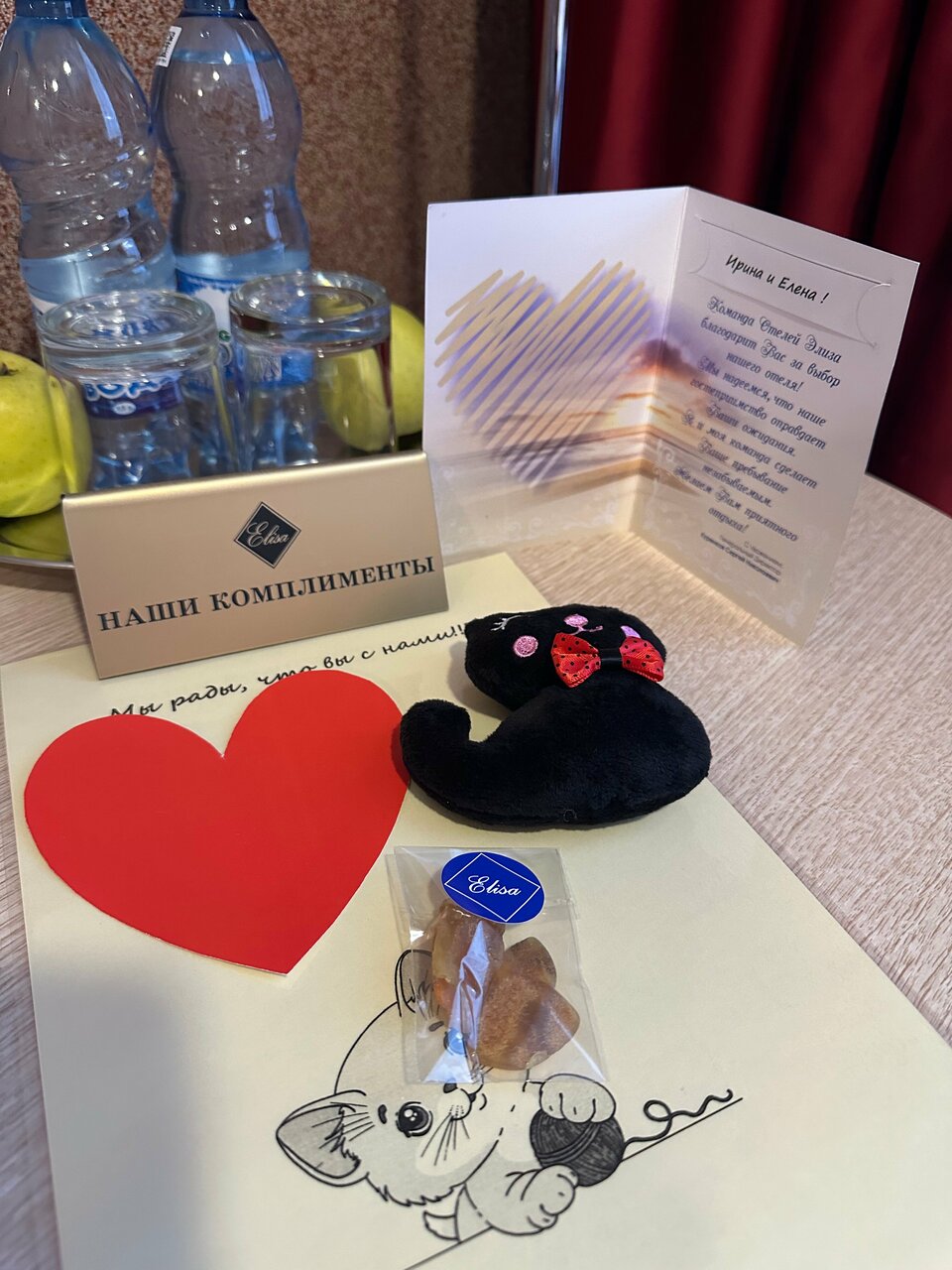 Гостиница Элиза ИНН Зеленоградск-245