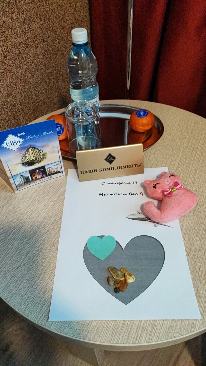 Гостиница Элиза ИНН Зеленоградск-244