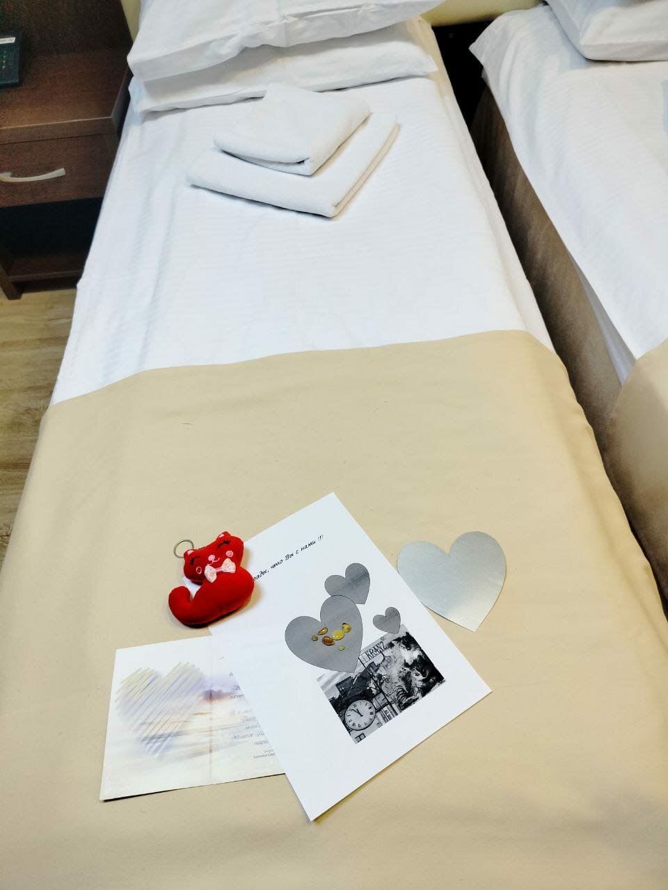 Гостиница Элиза ИНН Зеленоградск-217