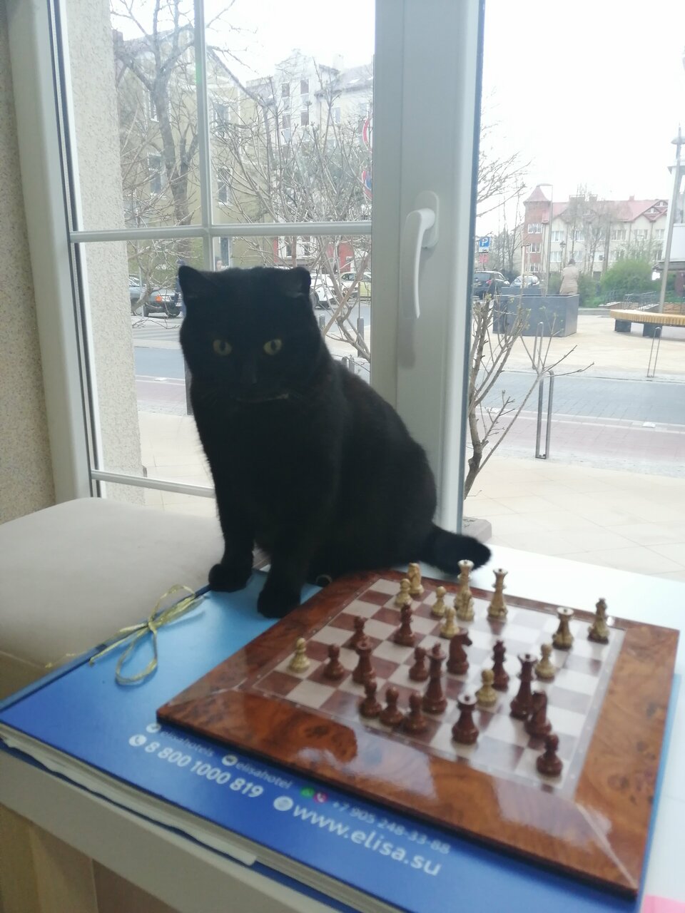 Гостиница Элиза ИНН Зеленоградск-188