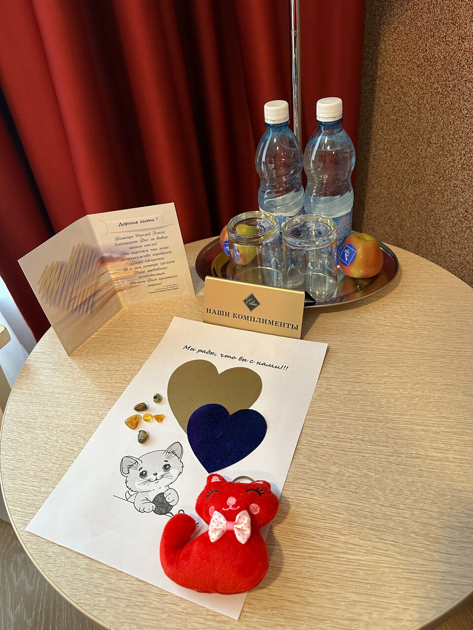 Гостиница Элиза ИНН Зеленоградск-212