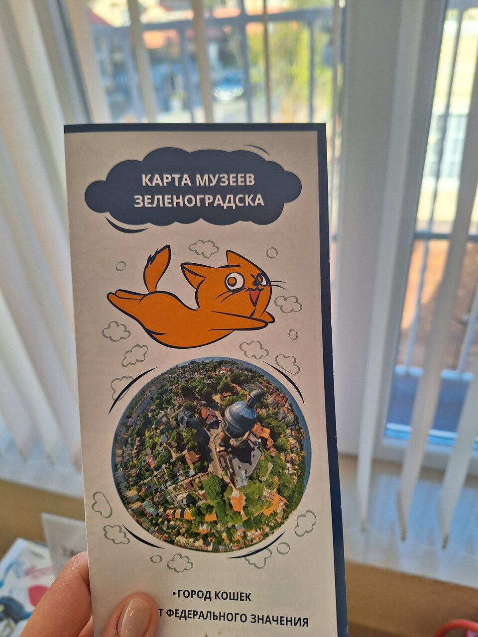 Гостиница Элиза ИНН Зеленоградск-242