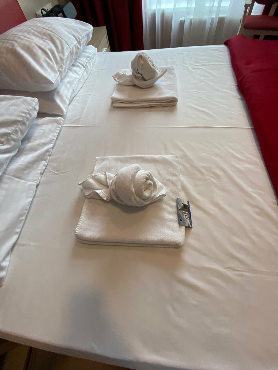 Гостиница Элиза ИНН Зеленоградск-111