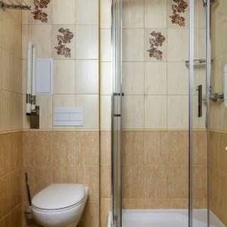 Гостиница Элиза ИНН Зеленоградск Мансардный (подходит для гостей с ограниченными физическими возможностями)-10