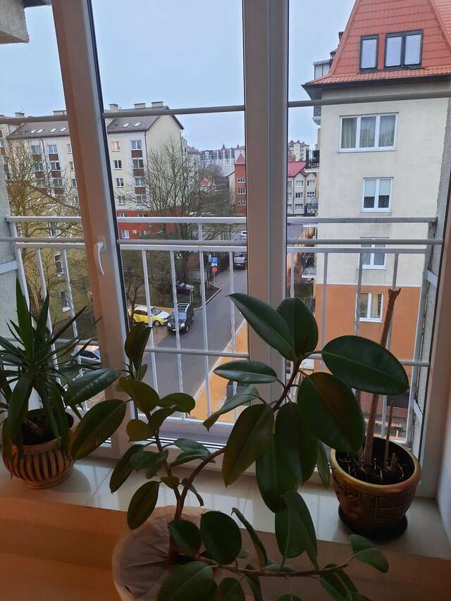 Гостиница Элиза ИНН Зеленоградск-24