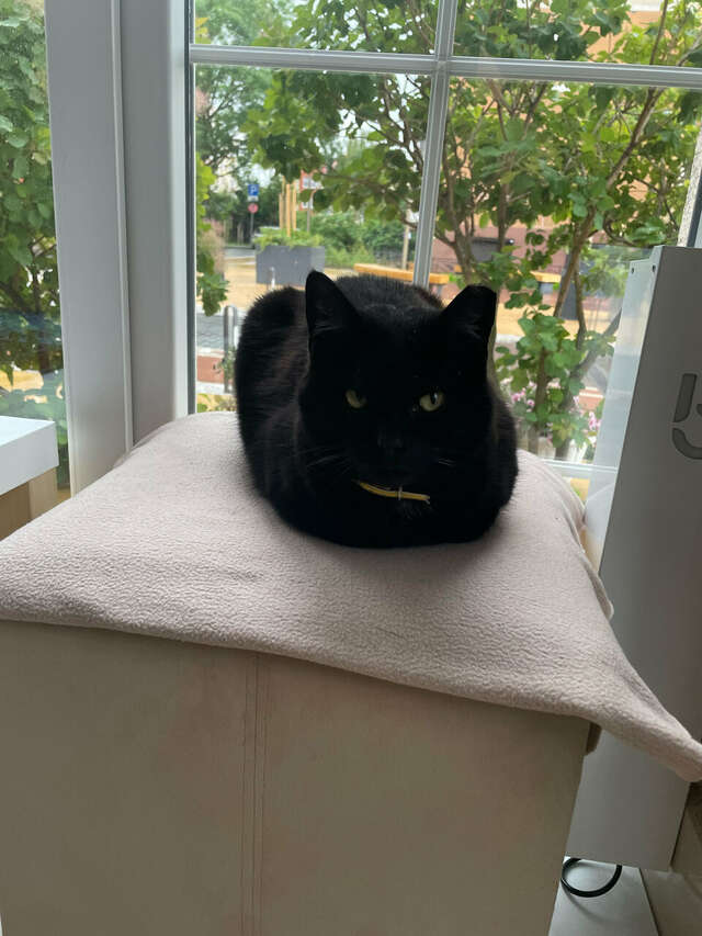 Гостиница Элиза ИНН Зеленоградск-148