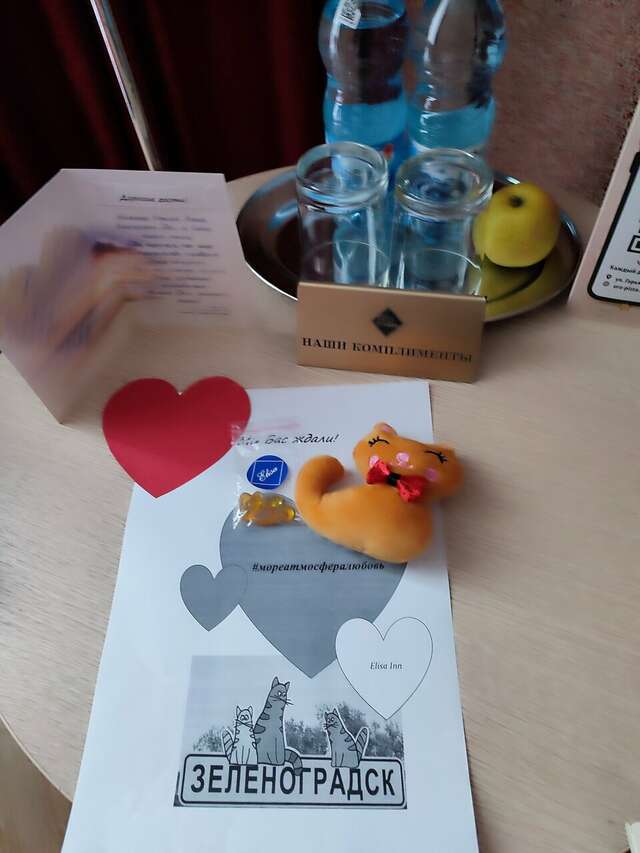 Гостиница Элиза ИНН Зеленоградск-226