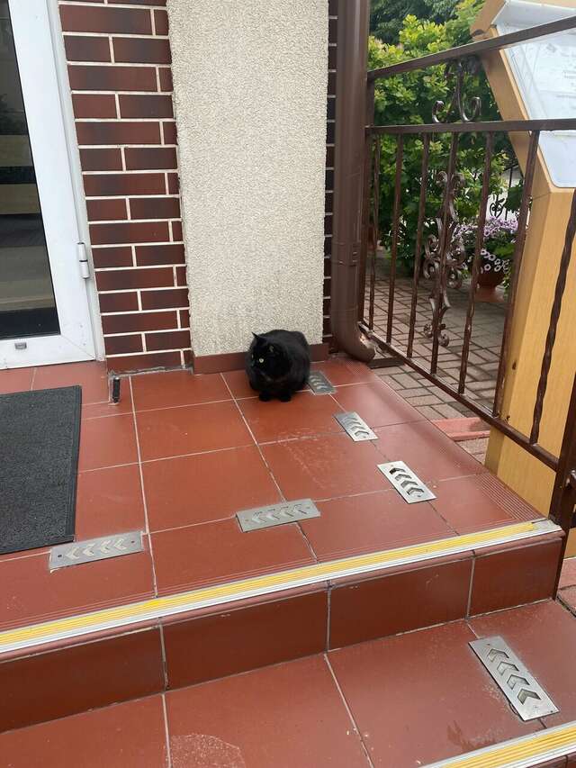 Гостиница Элиза ИНН Зеленоградск-73