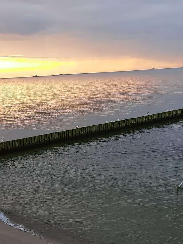 Гостиница Элиза ИНН Зеленоградск-57