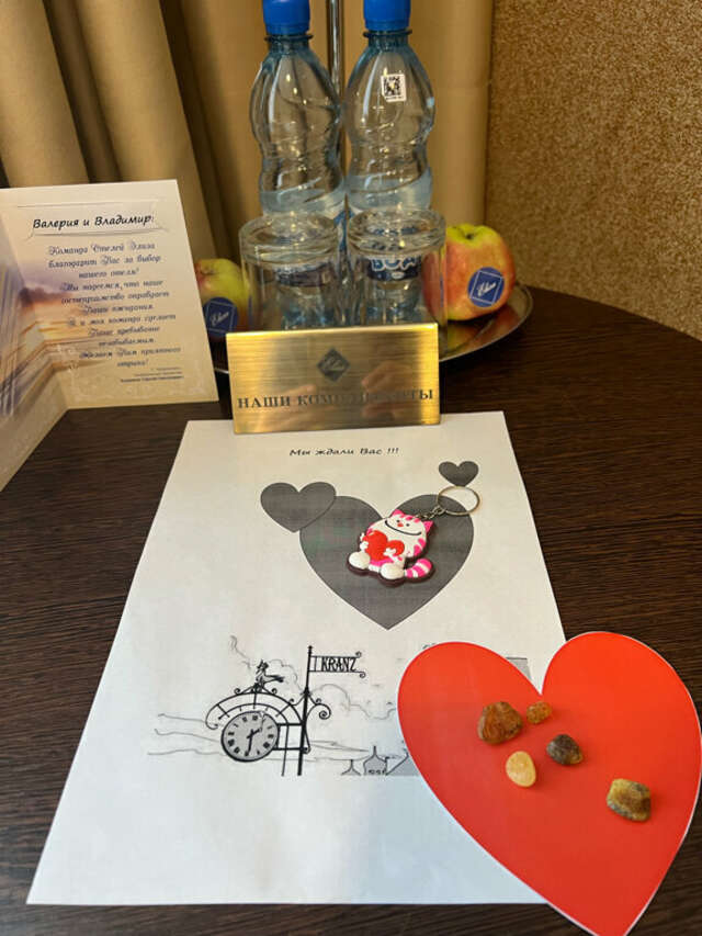 Гостиница Элиза ИНН Зеленоградск-234