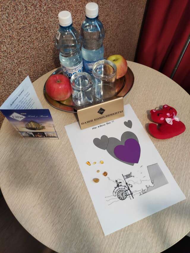 Гостиница Элиза ИНН Зеленоградск-232