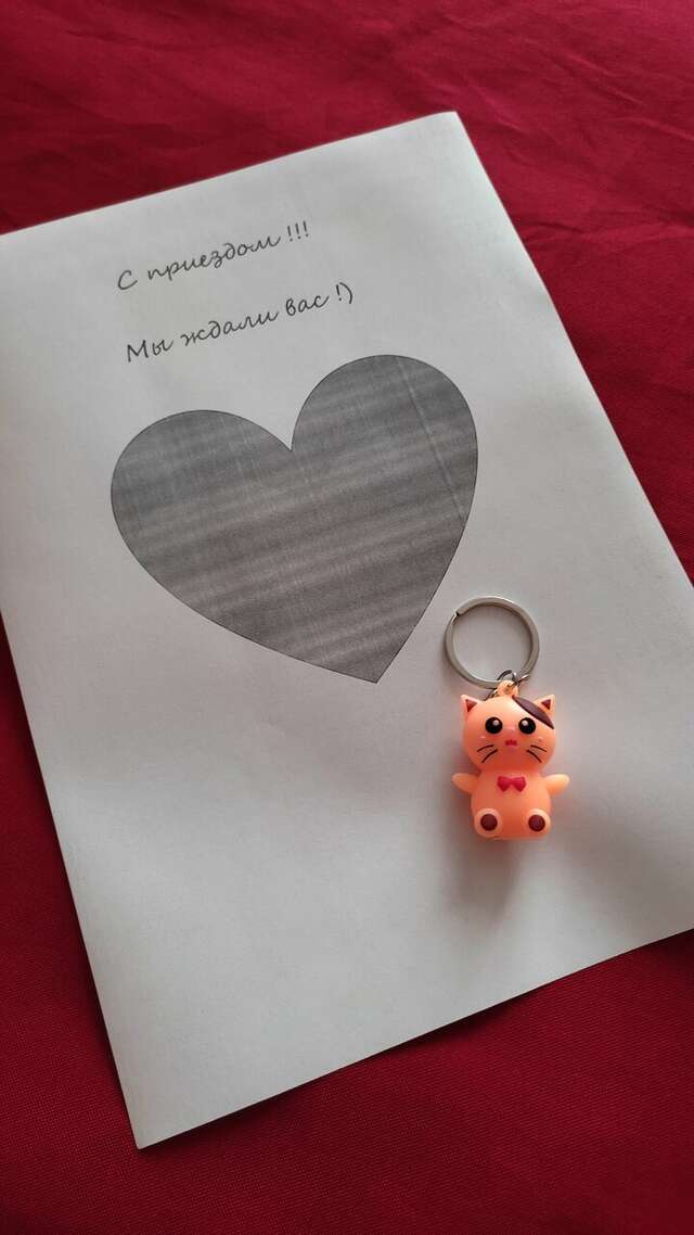 Гостиница Элиза ИНН Зеленоградск-141