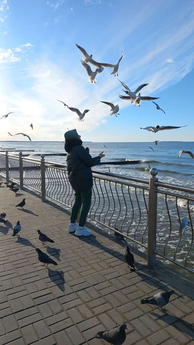 Гостиница Элиза ИНН Зеленоградск-18