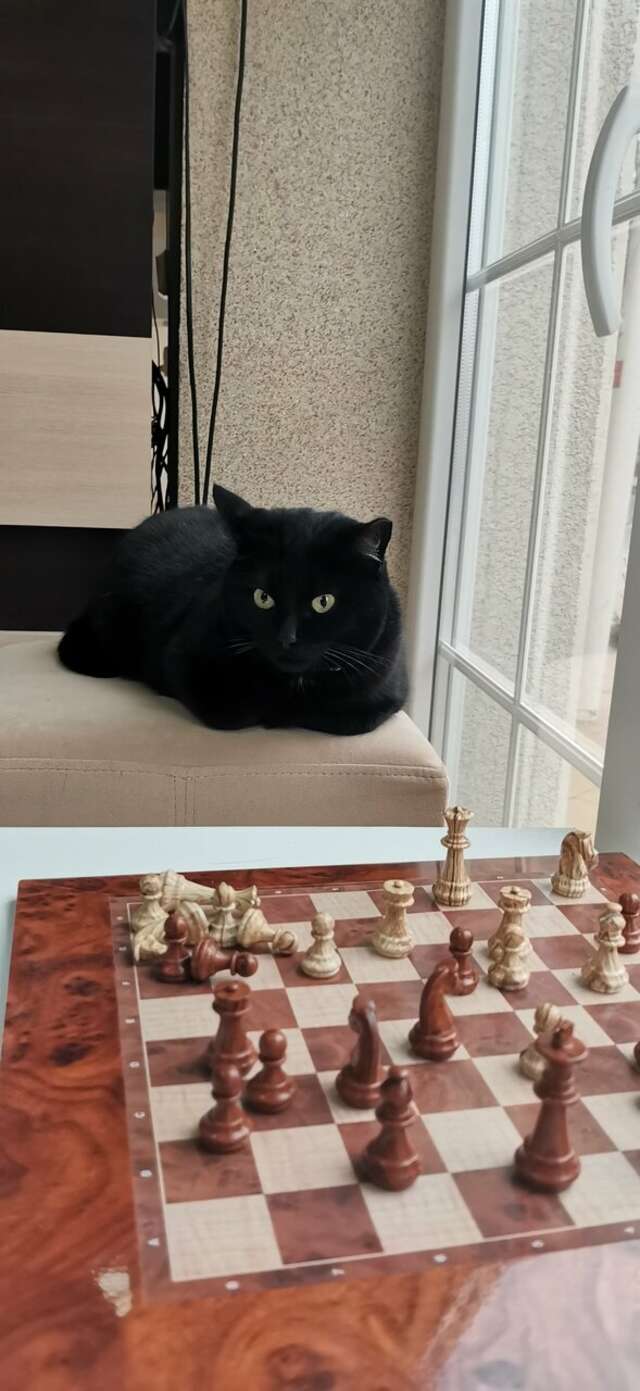 Гостиница Элиза ИНН Зеленоградск-119