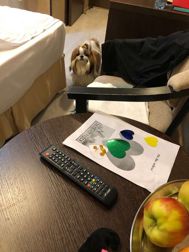 Гостиница Элиза ИНН Зеленоградск-96