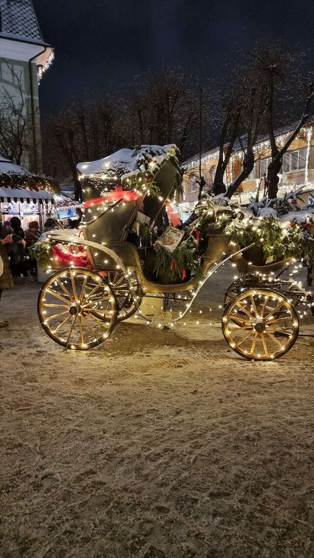 Гостиница Элиза ИНН Зеленоградск-39