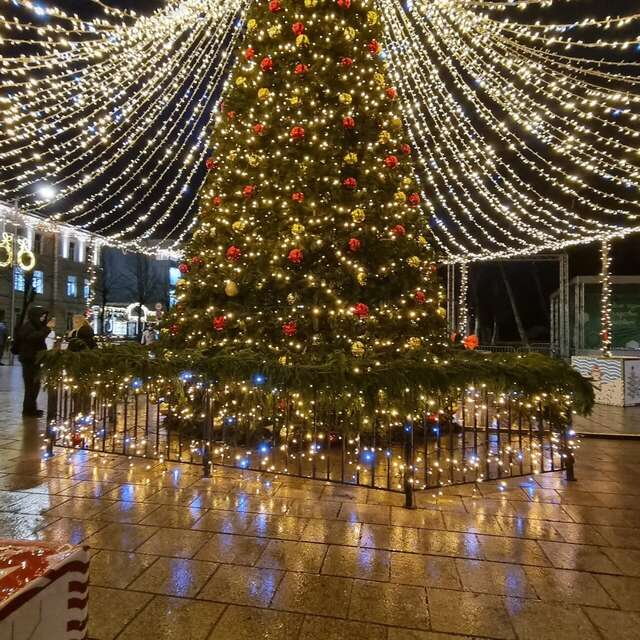 Гостиница Элиза ИНН Зеленоградск-5