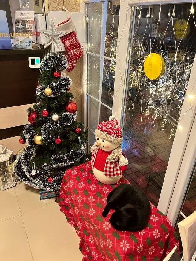 Гостиница Элиза ИНН Зеленоградск-171