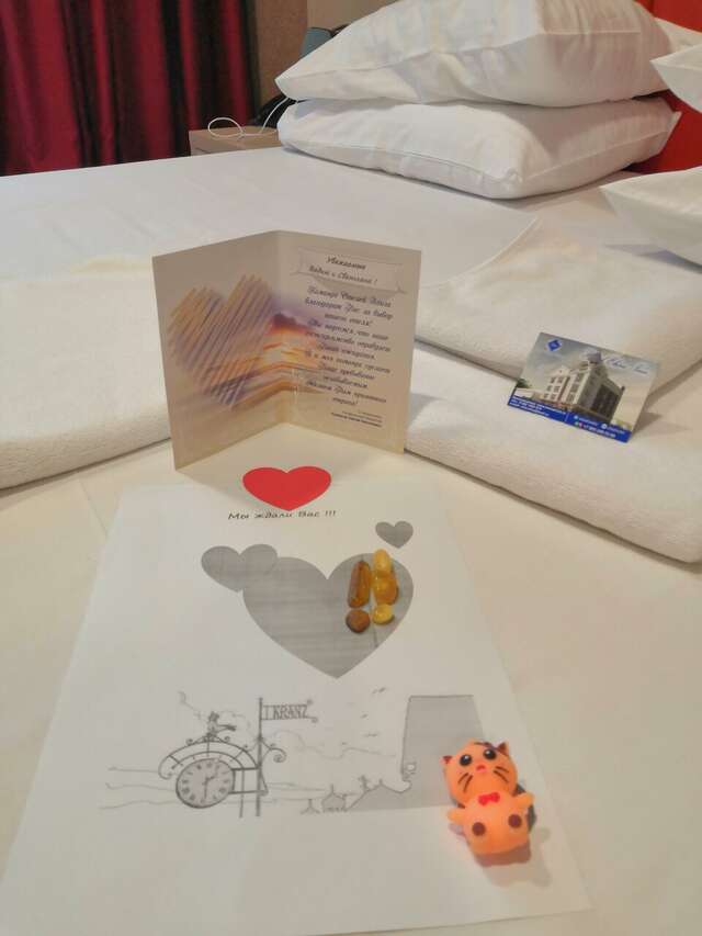 Гостиница Элиза ИНН Зеленоградск-80