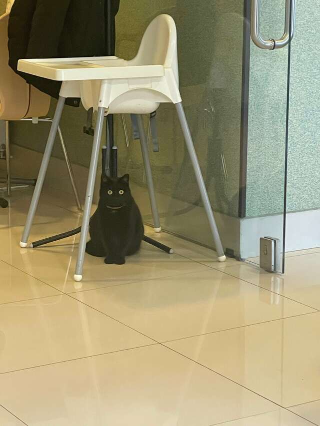 Гостиница Элиза ИНН Зеленоградск-239