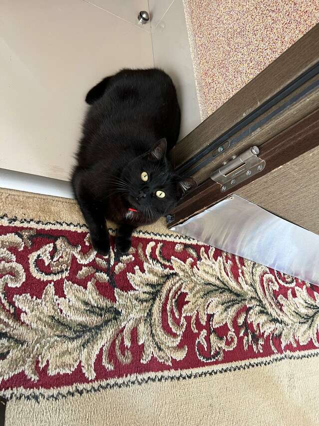 Гостиница Элиза ИНН Зеленоградск-165