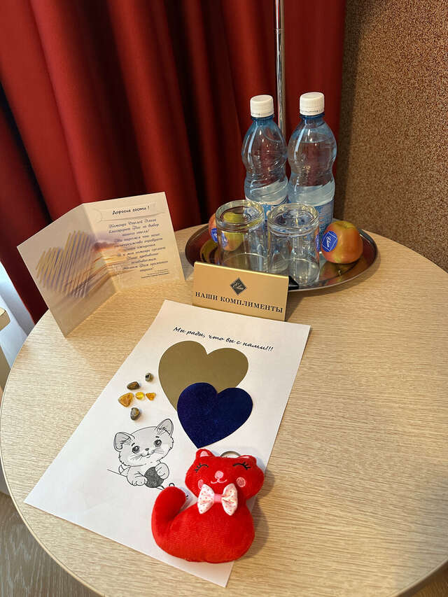 Гостиница Элиза ИНН Зеленоградск-211