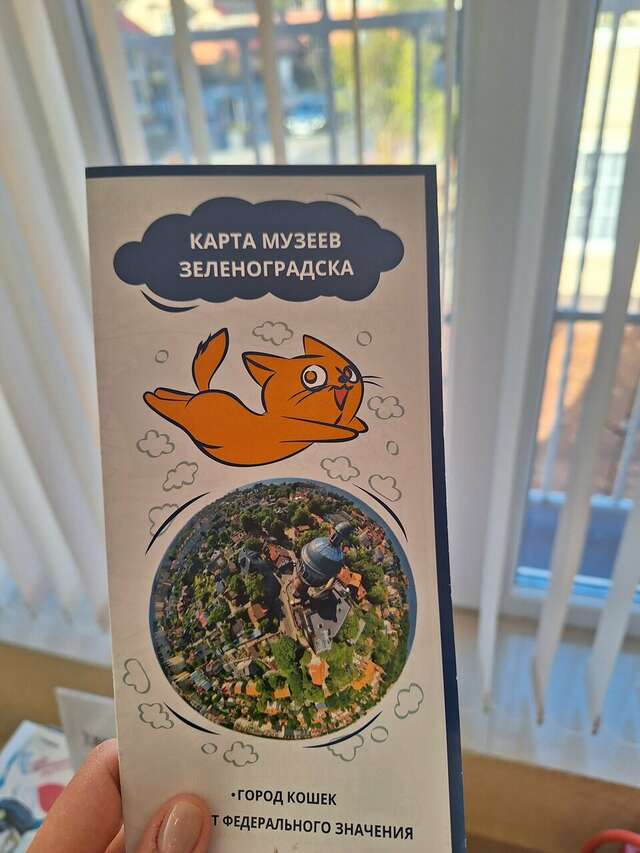 Гостиница Элиза ИНН Зеленоградск-241